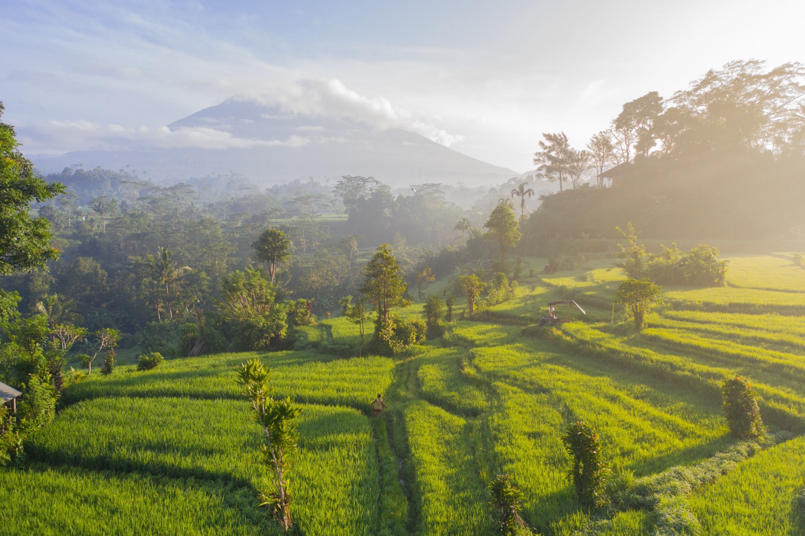 Ubud-Bali